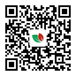 微信公眾號